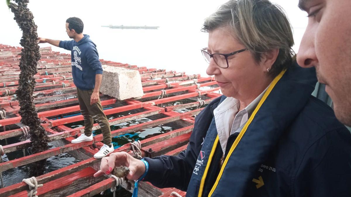 La conselleira de Mar, Rosa Quintana, esta mañana en una batea en Domaio, en Moaña