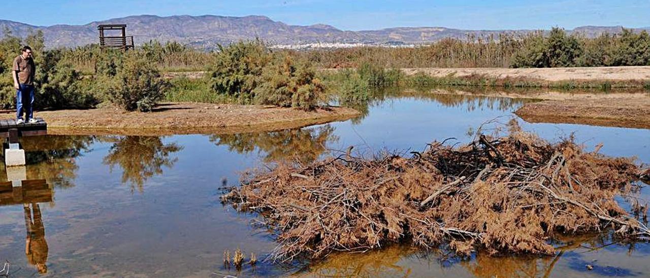 Zona del Hondo la que Catral quiere dirigir el agua depurada.  | INFORMACIÓN