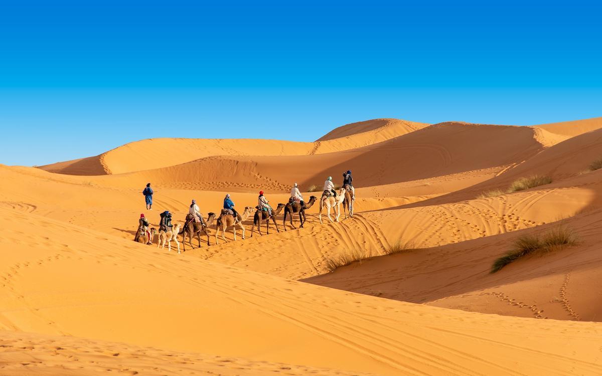 Una caravana en el desierto del Sáhara.