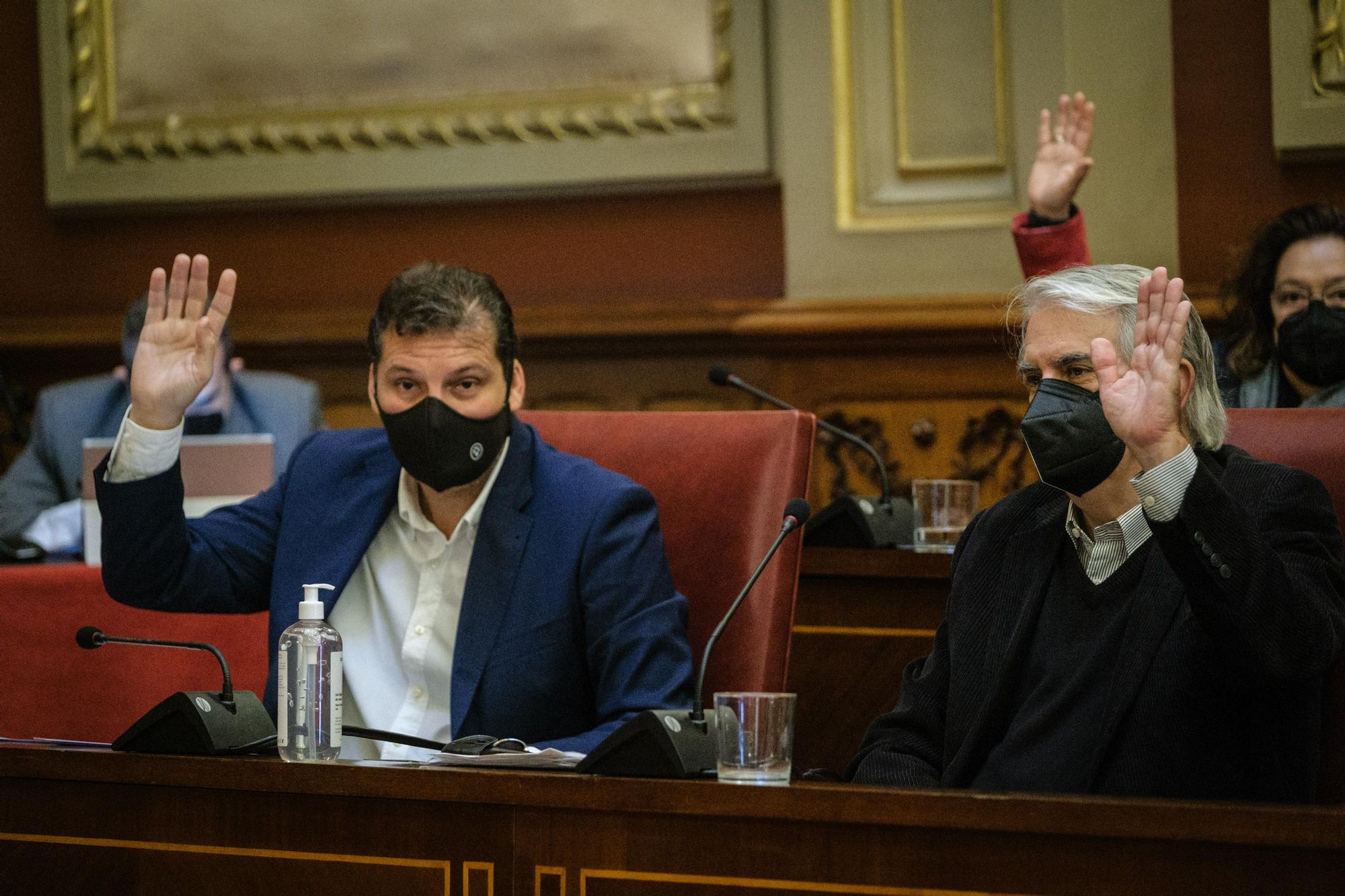 Pleno del Ayuntamiento de Santa Cruz de Tenerife (28-01-2022)