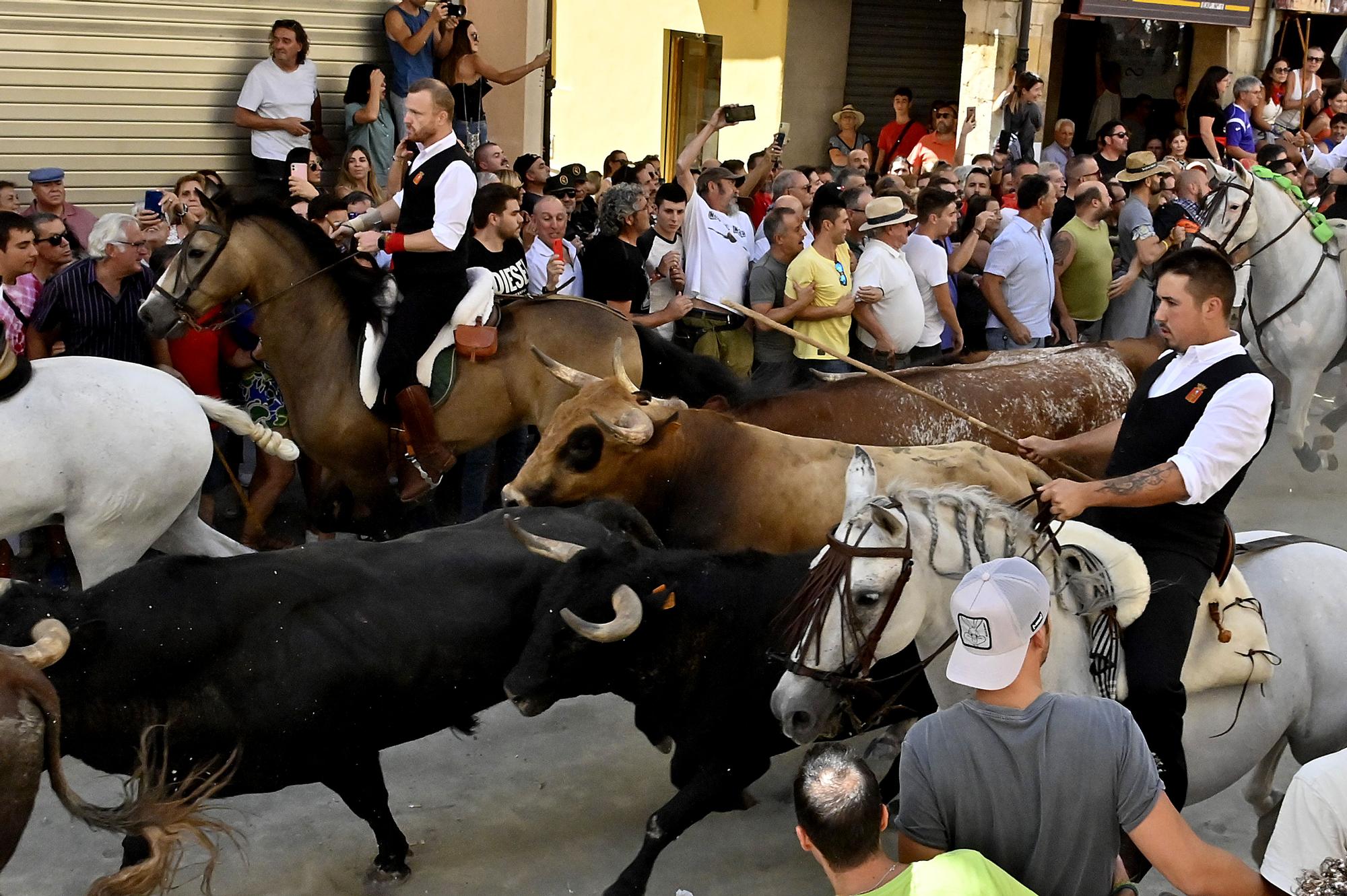 Las mejores fotos de la tercera Entrada de Toros y Caballos de Segorbe