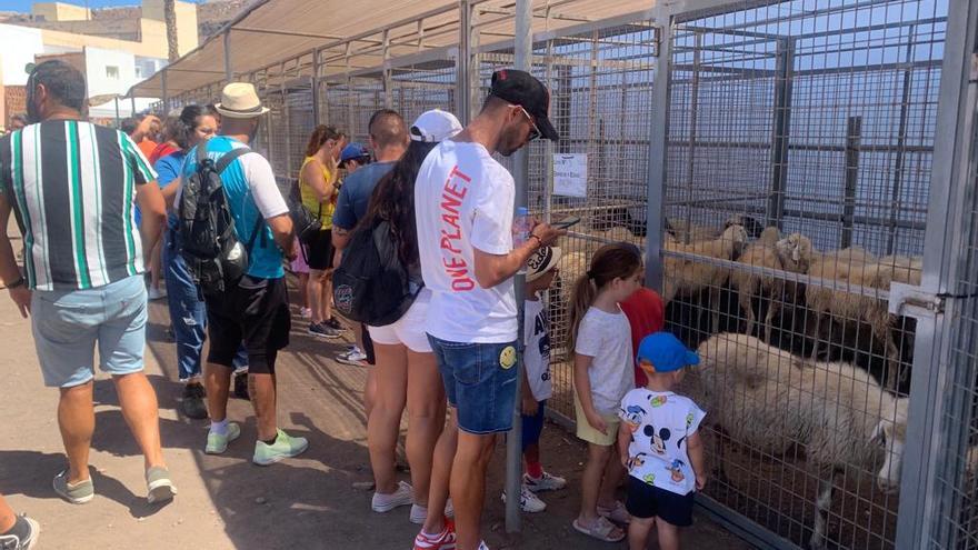 La Rama en sábado es igual a multitud