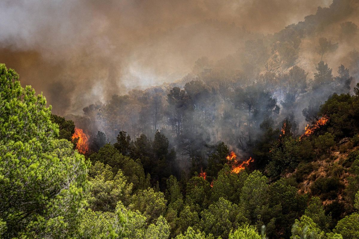 Dentro del incendio en Baix Ebre: los bomberos trabajan a contra reloj en el incendio forestal en Paüls