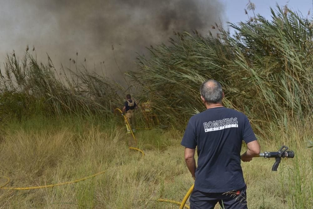 Incendio de matorral en Cabezo de Torres