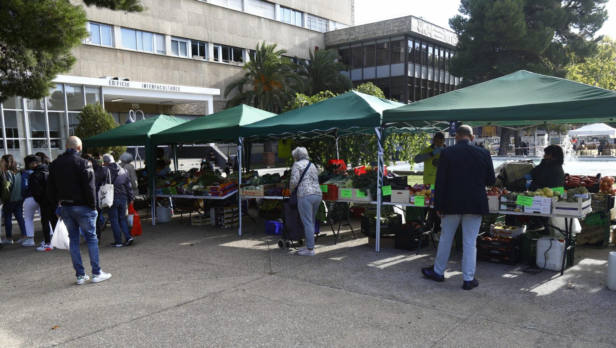 FOTOGALERÍA | El Mercado Agroalimentario de San Francisco ha tenido una buena acogida de visitantes