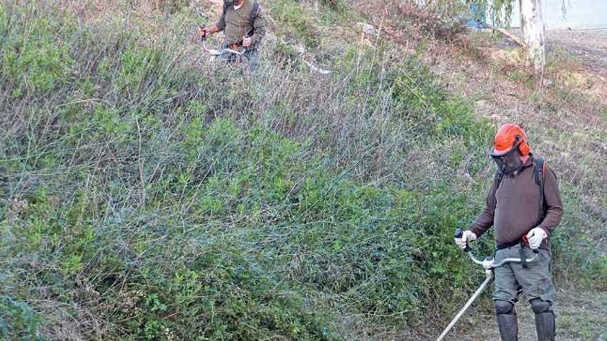 Varios de los nuevos operarios desbrozan una ladera.