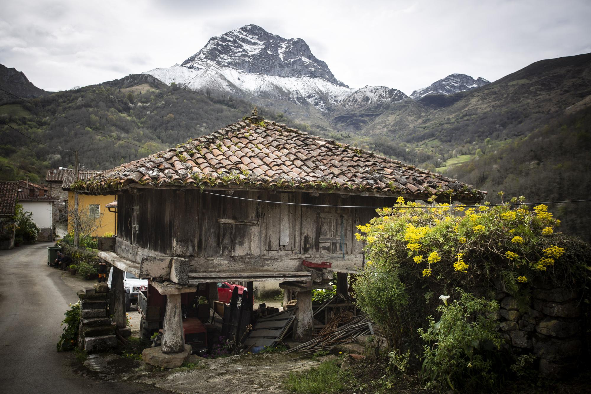 Asturianos en Amieva: un recorrido por el municipio