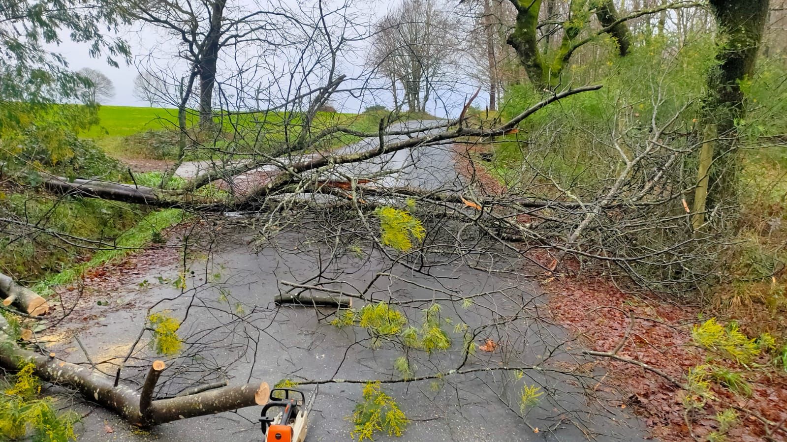 Reguero de incidencias en Lalín por el temporal