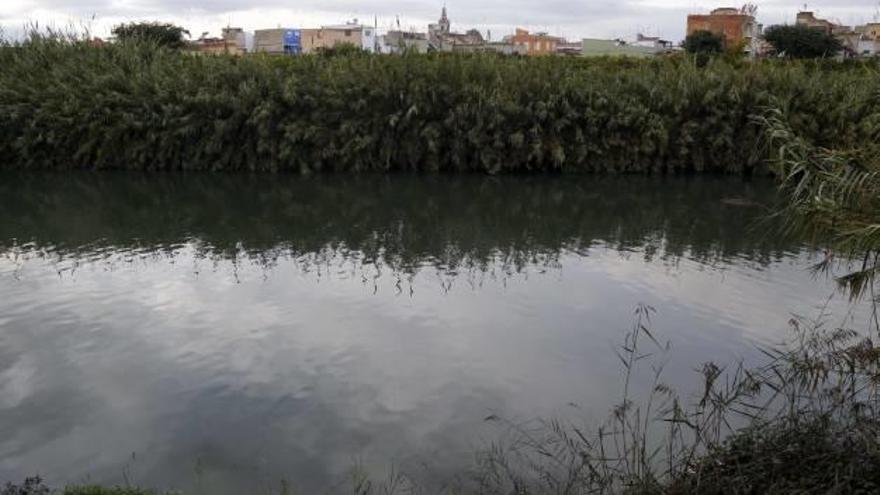 Un proyecto con un parque fluvial y bosque de ribera