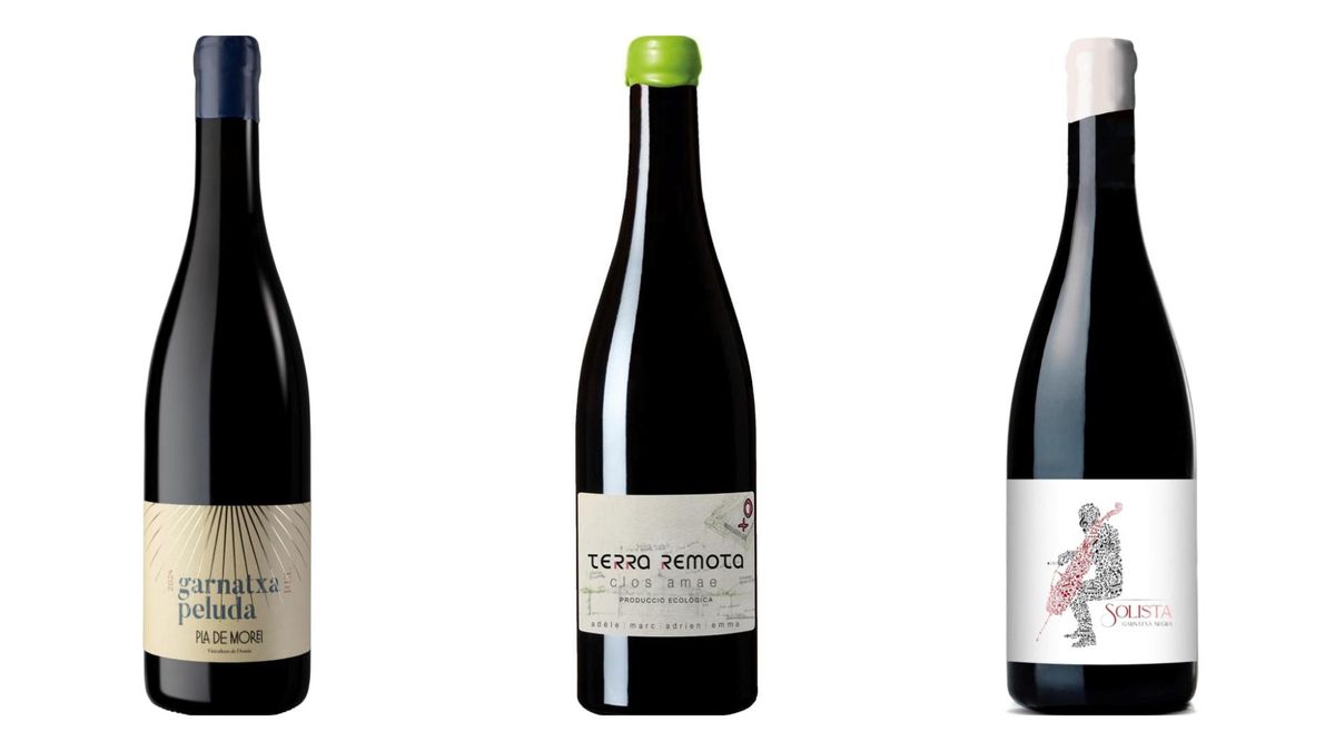 3 buenos vinos tintos catalanes que se han estrenado este año