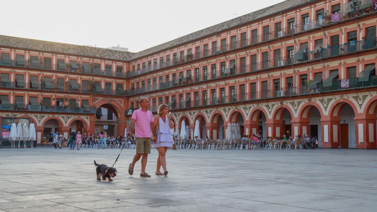 La reforma de La Corredera fue tan premiada como polémica por su pavimento ‘duro’.