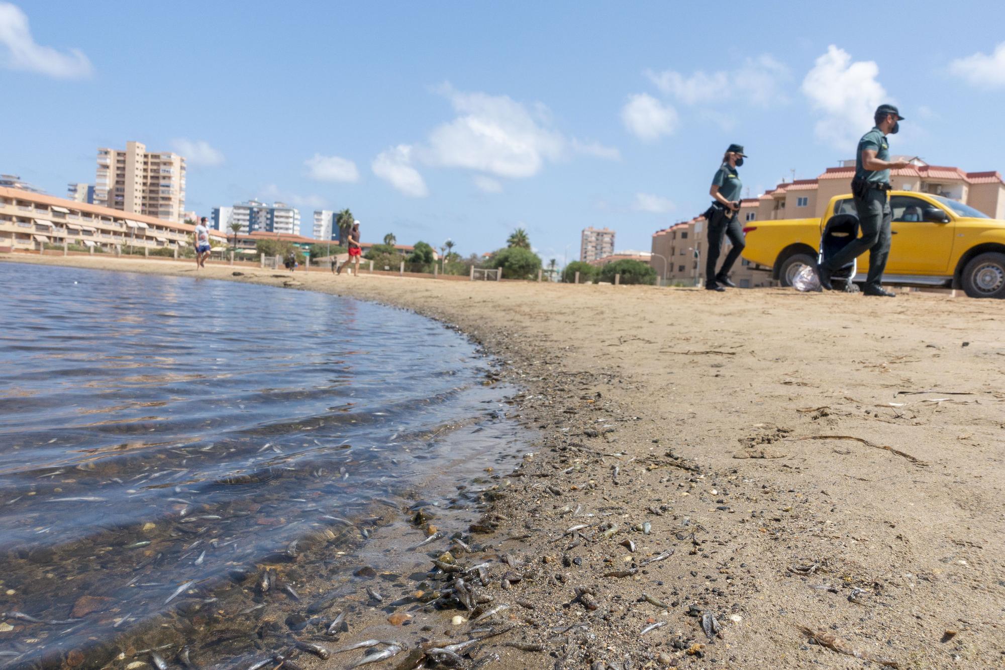 Las imágenes de la crisis del Mar Menor que quedarán grabadas en tu retina