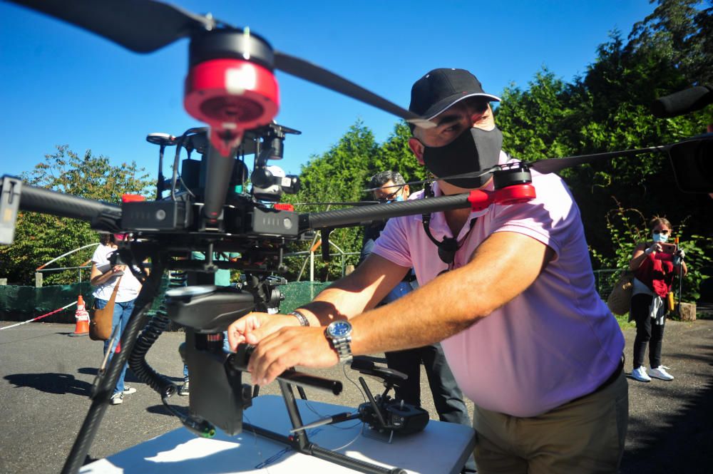 Trabajos de Aeromar para eliminar el nido de velutinas con su dron.