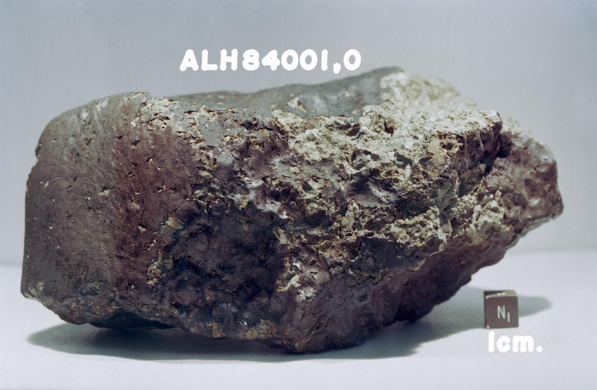 El famoso meteorito ALH84001 llegado desde Marte
