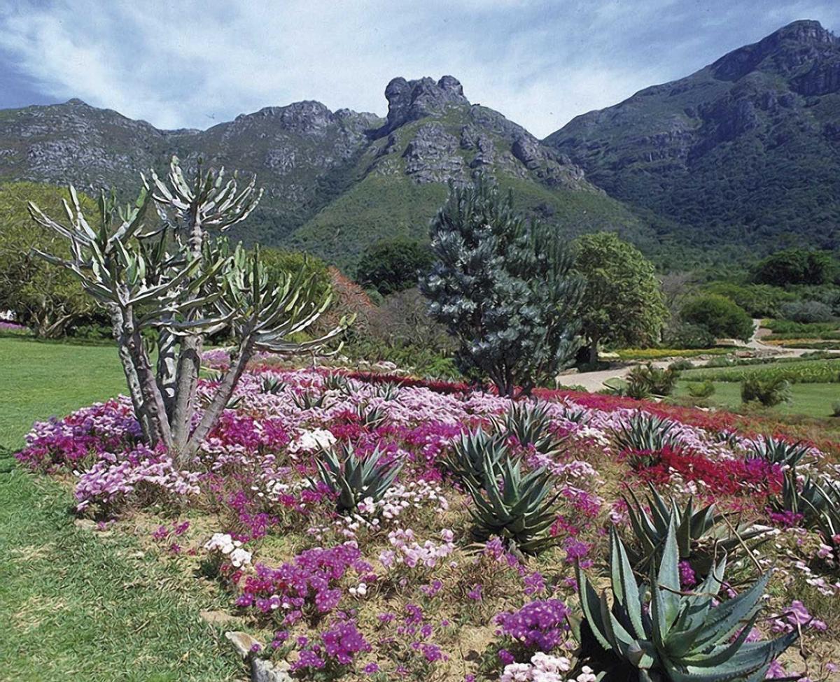 Sudáfrica, paisajes en flor