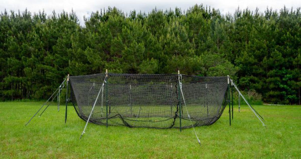 Federación plantea la caza con arco frente a la jaula en zonas con restricciones