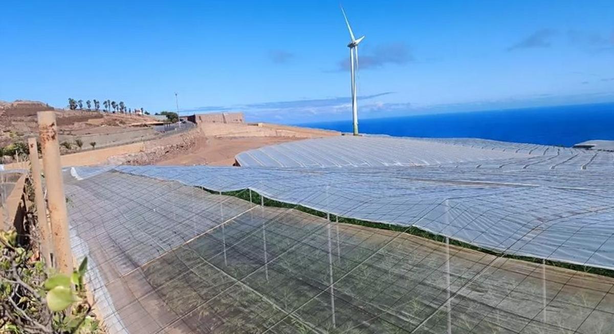 Terrenos situados junto al molino de viento en el que se proyectó la planta de biogás, en La Atalaya de Guía.