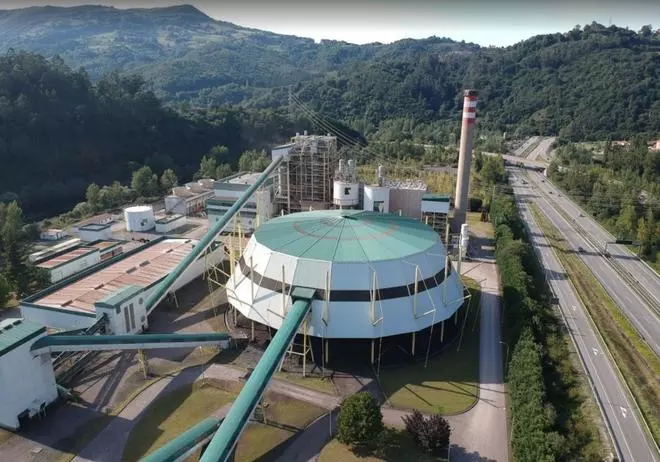 Hunosa recogerá en los montes de Aller biorresiduos para quemarlos en La Pereda