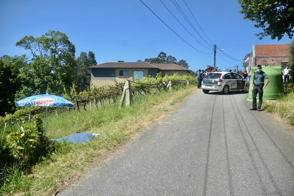 Un vecino de Poio fallece por picaduras de velutina