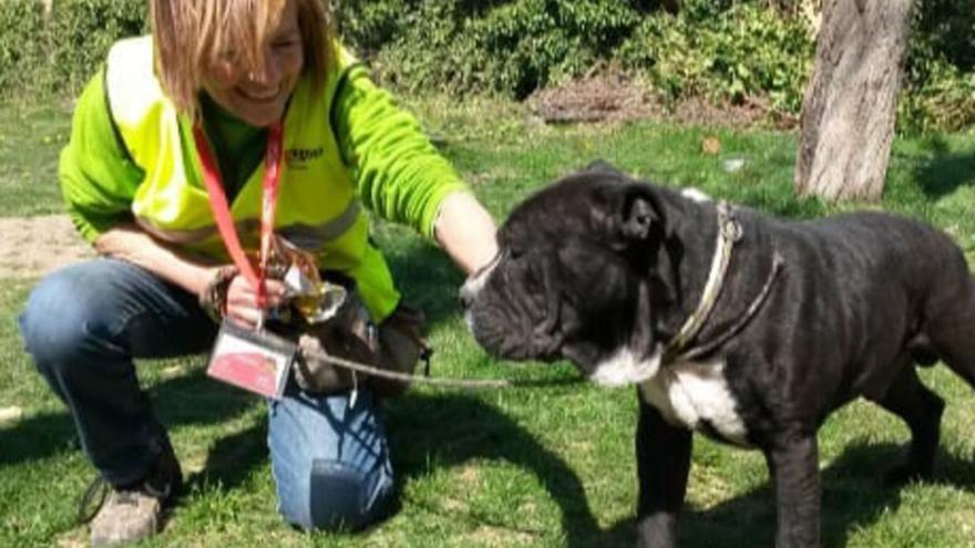 Voluntarios del centro animal de Zaragoza critican las «trabas» para socializar a los perros