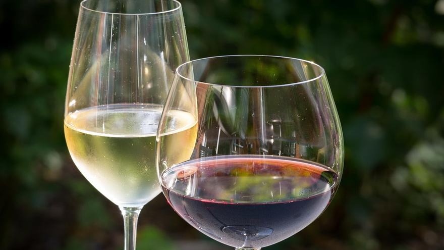 ¿Es realmente bueno tomar una copa de vino al día?