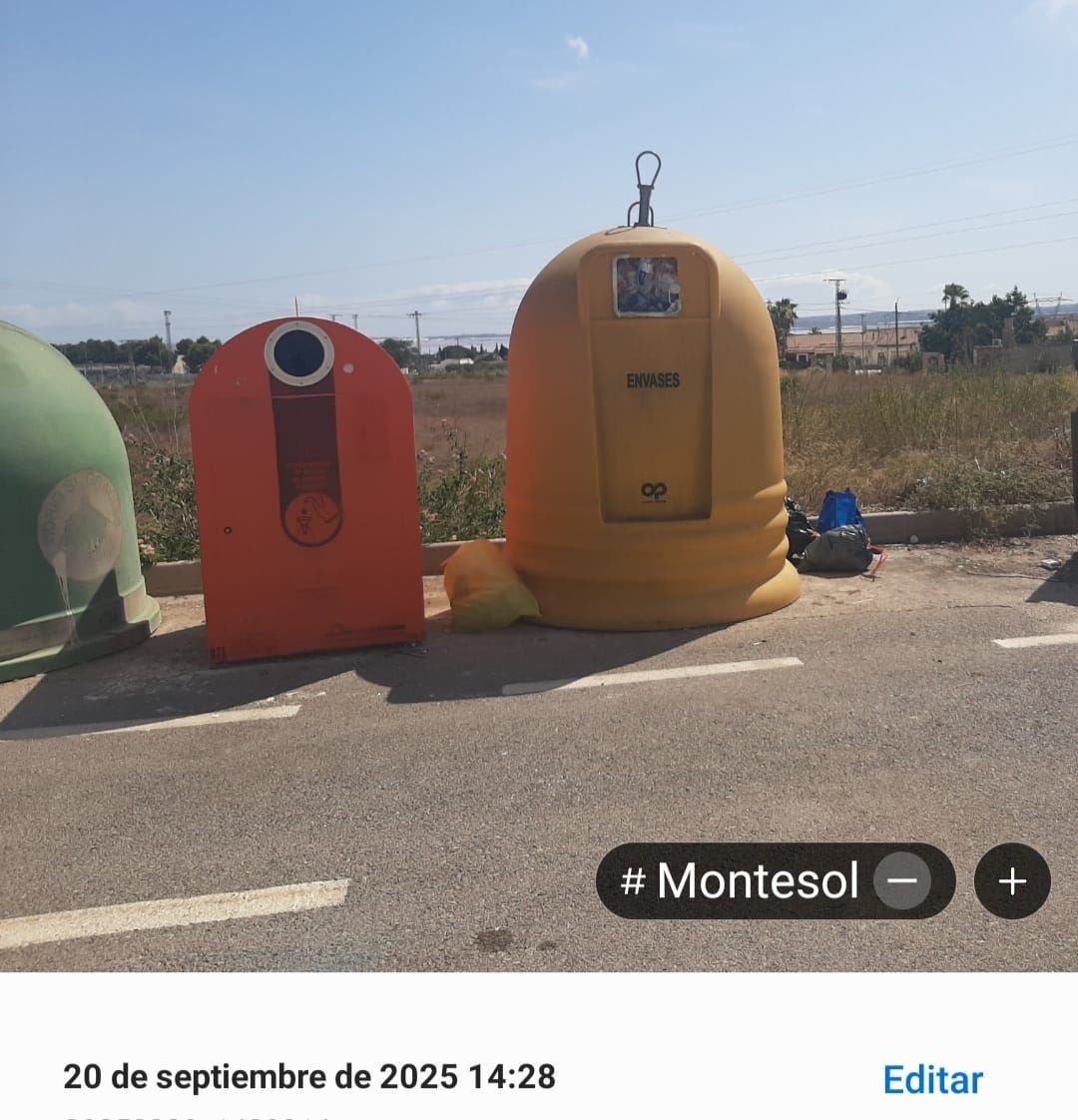 Imágenes captadas por los vecinos de contenedores desbordados