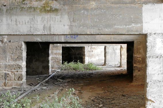 Das Estadi Balear an der Ringautobahn von Palma liegt seit viereinhalb Jahren brach. Jetzt will Atlético Baleares seine frühere Heimstätte wieder auf Vordermann bringen.