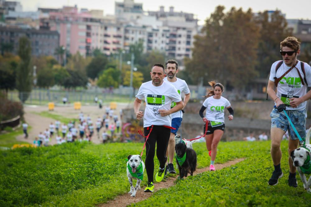 Can We Run Mallorca: So war das Hunderennen