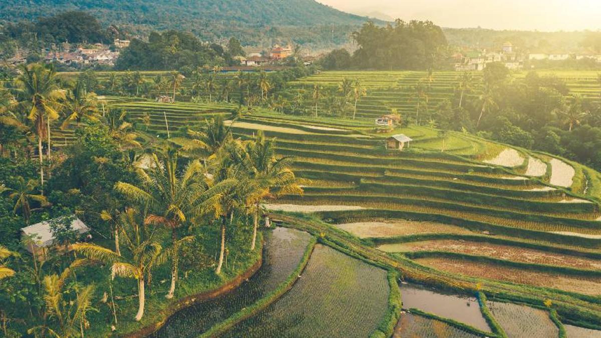 Próxima Expedición VIAJAR a Indonesia: un destino mágico.