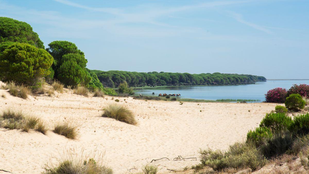 Las marismas de Doñana