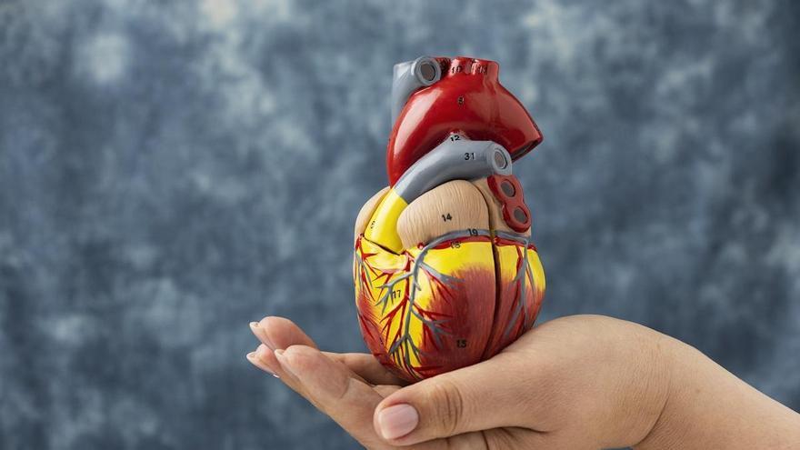 La finerenona podría ampliar el arsenal terapéutico para tratar la insuficiencia cardíaca en adultos