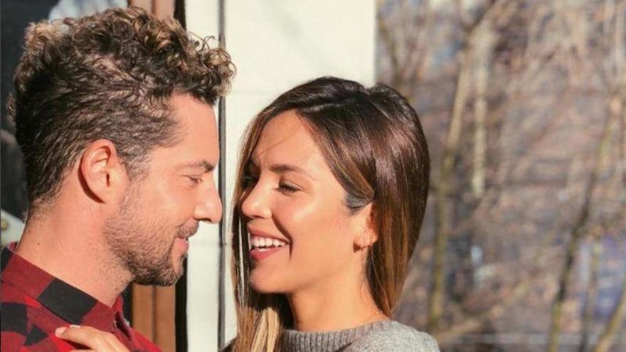 David Bisbal y Rosana Zanetti muestran la ecografía de su bebé