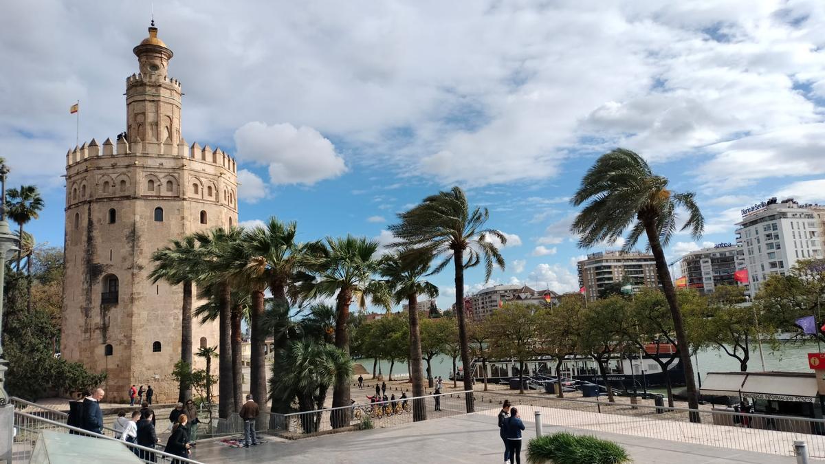 El fuerte viento azota a las palmeras este Martes Santo en Sevilla