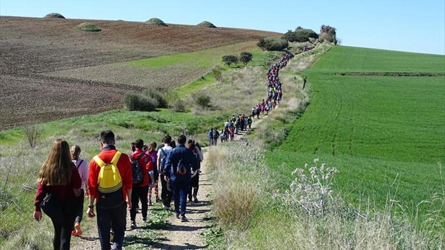 Una marcha de todo el instituto