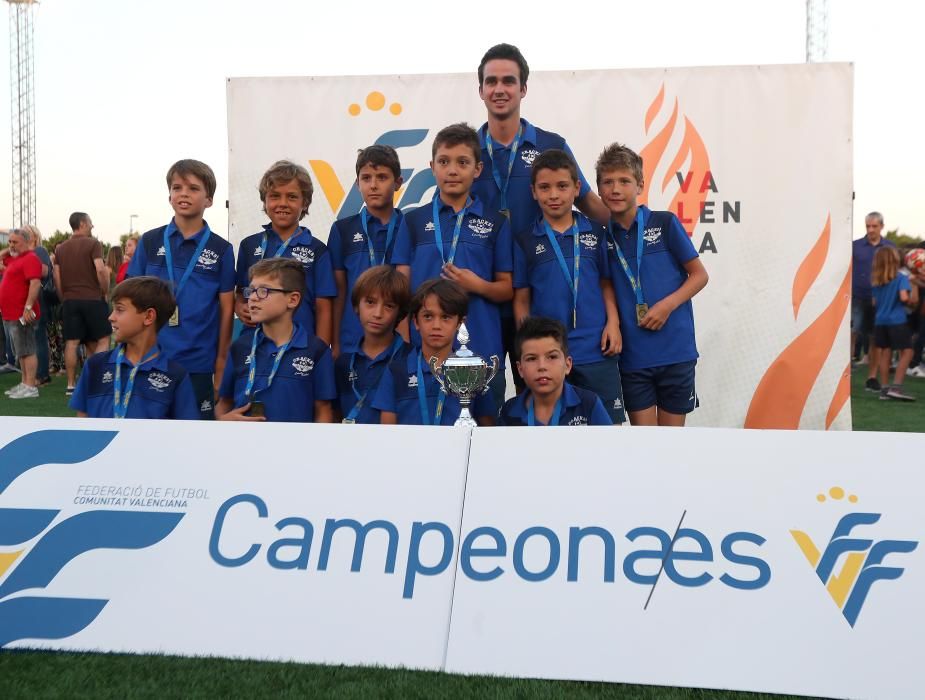 Campeones futbol 8