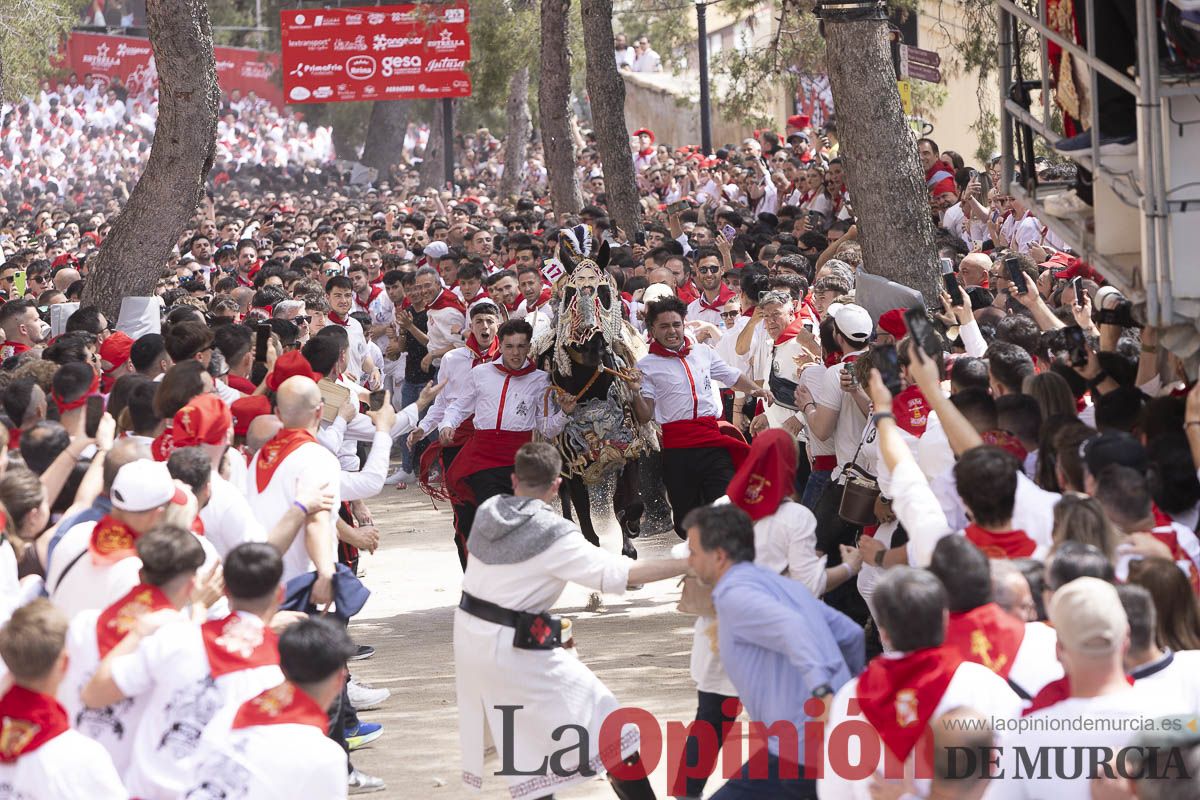 Así se ha vivido la carrera de Los Caballos del Vino en Caravaca