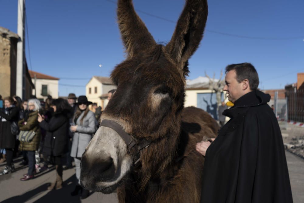 Monfarracinos celebra San Antón con las tradicionales "relaciones"