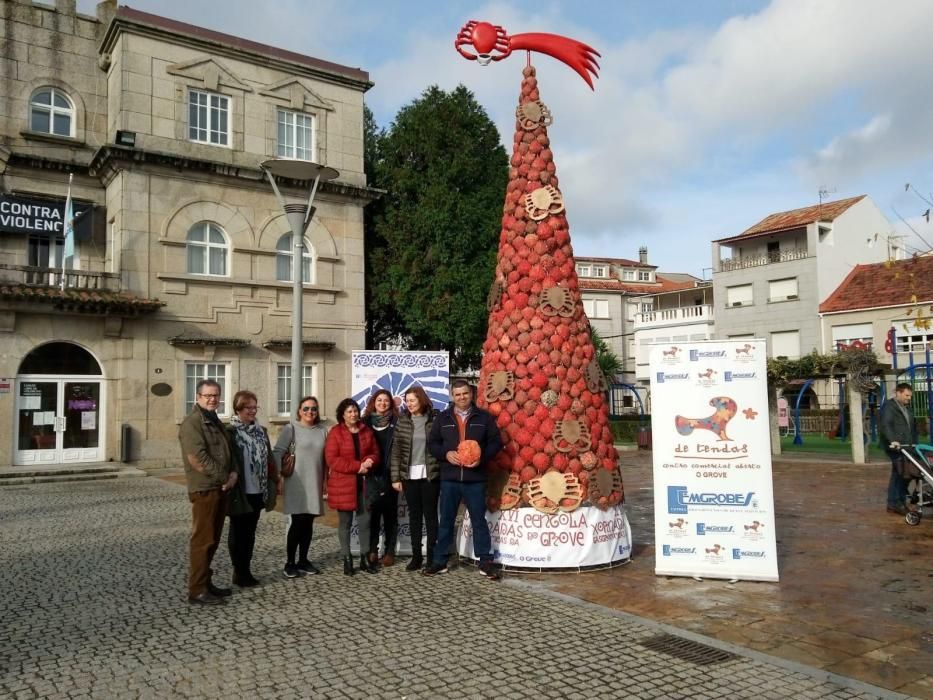 El árbol de O Grove, imbatible en originalidad // Muñiz