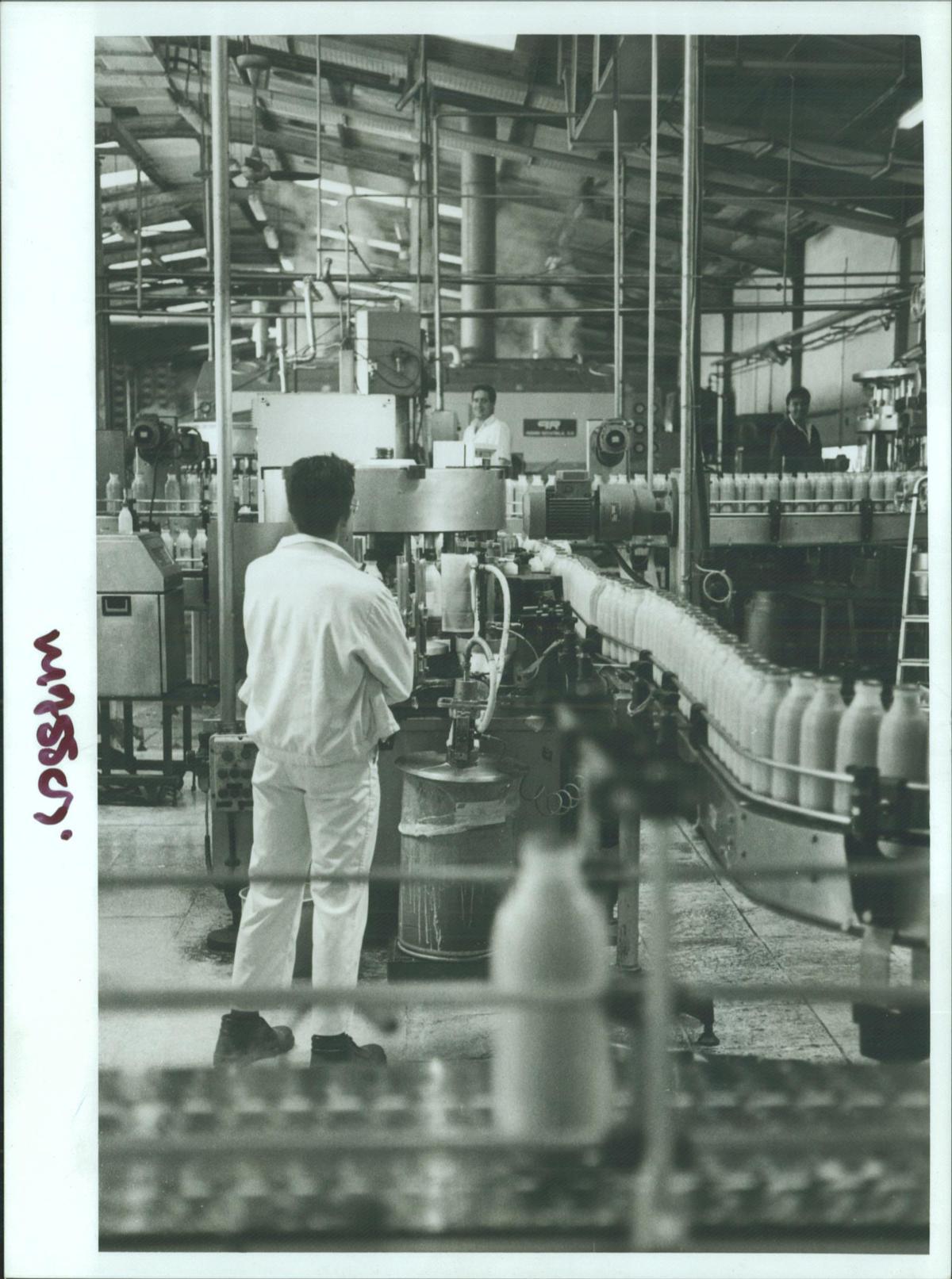 FOTOS | La historia de Agama, en imágenes