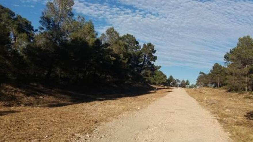 Enguera exige a la UTE de la biomasa que retire la madera abandonada en el monte por el riesgo de incendio