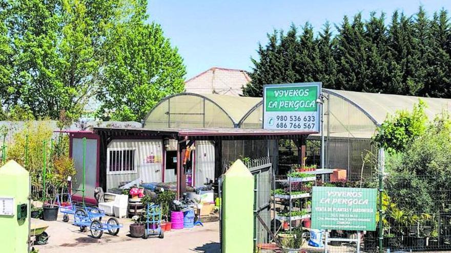 Instalaciones de Viveros La Pérgola. | Cedida por la empresa