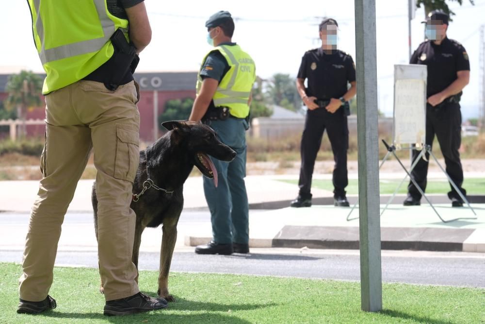 Despliegue de la Guardia Civil en el barrio del Rincón de Redován para poner coto a la venta al menudeo de droga