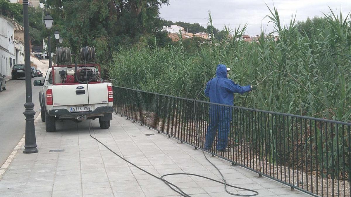 Tareas de limpieza en la zona de Río de Oro, en Puente Genil.