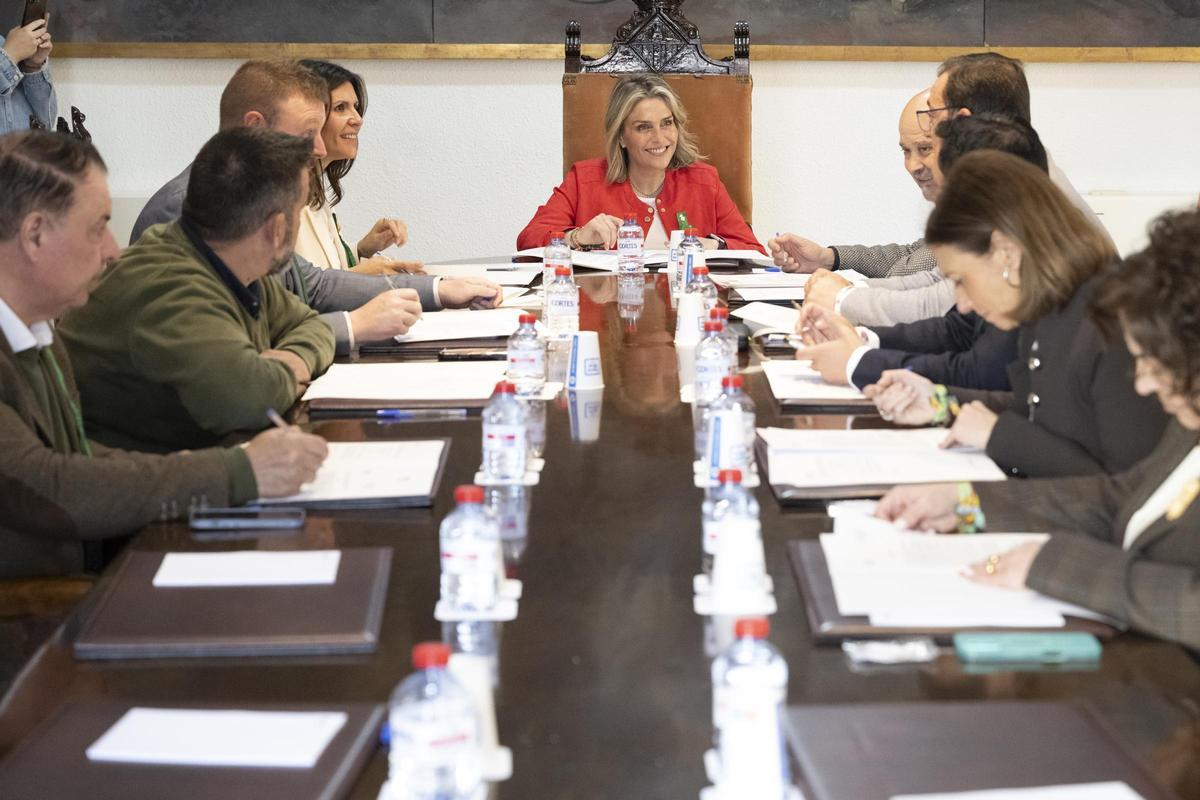 Junta de Gobierno de la Diputación celebrada este miércoles.