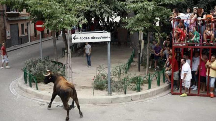 Las pedanías defienden que tienen otras prioridades antes que prohibir los «bous»