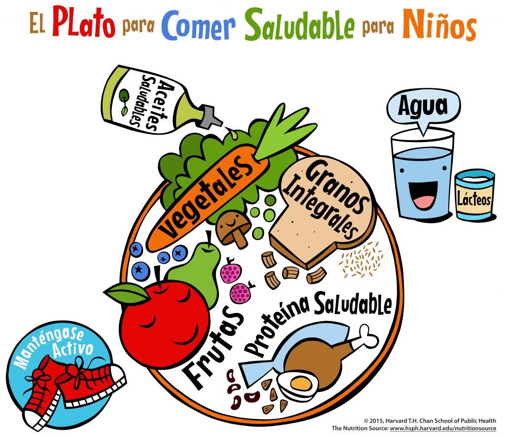 El Plato de Harvard en su versión para niños.