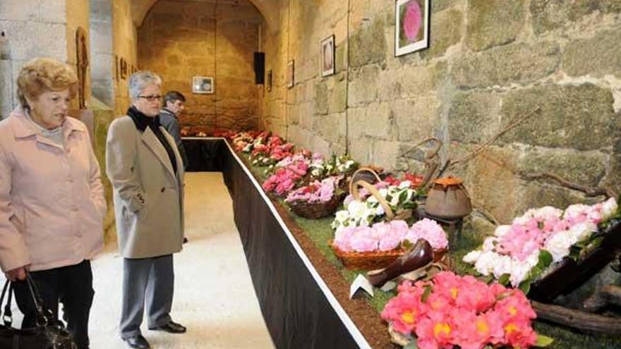 La camelia, la flor de invierno por excelencia de las Rías Baixas, es protagonista en Lérez.  // Noé Parga.