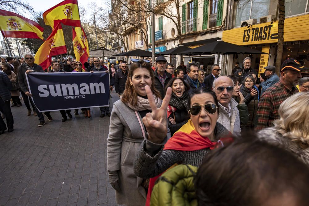 Unas 700 personas se concentran en Palma "por la unidad de España"