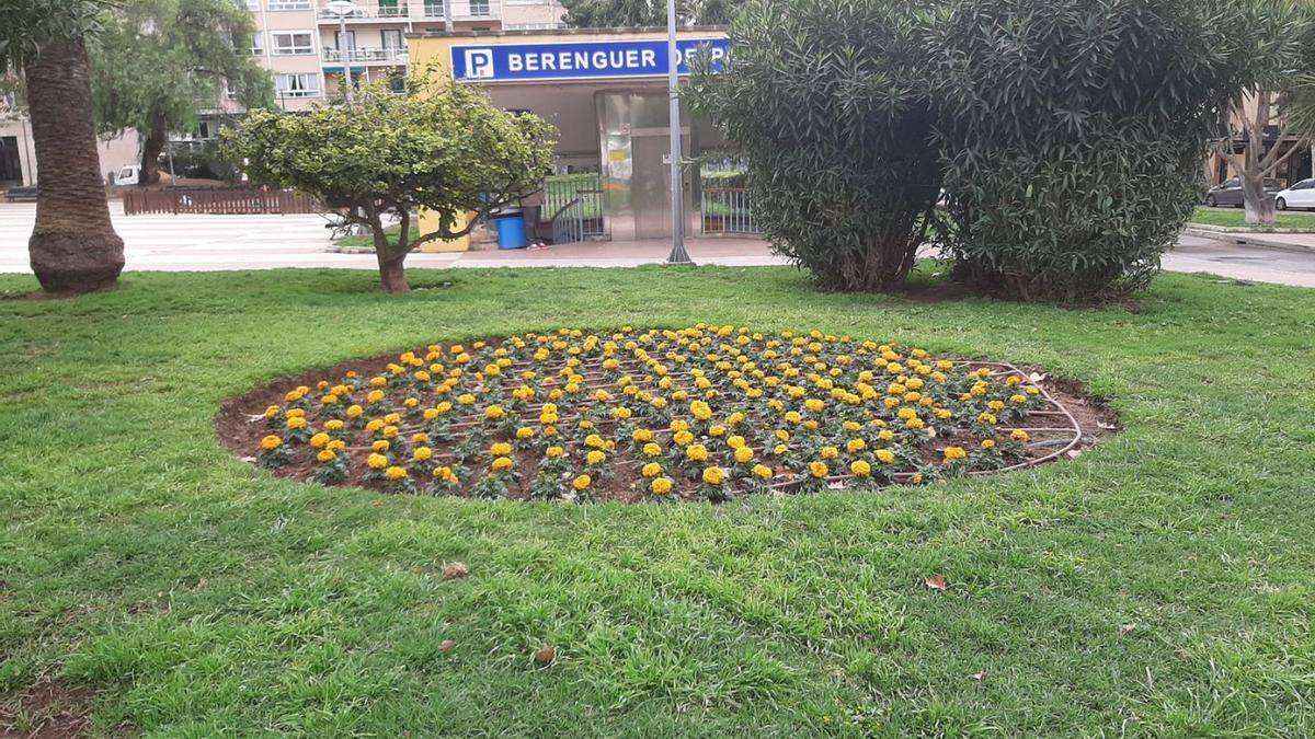 Una de las zonas de la plaza Patines en las que ya se han renovado las plantas. | J.C.