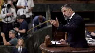 Abascal ataca a Feijóo y pide en el Congreso expulsar a "todos" los migrantes "que han entrado ilegalmente"